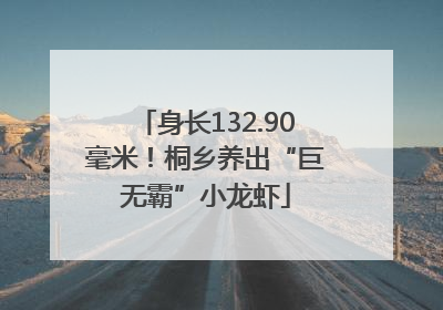 身长132.90毫米！桐乡养出“巨无霸”小龙虾